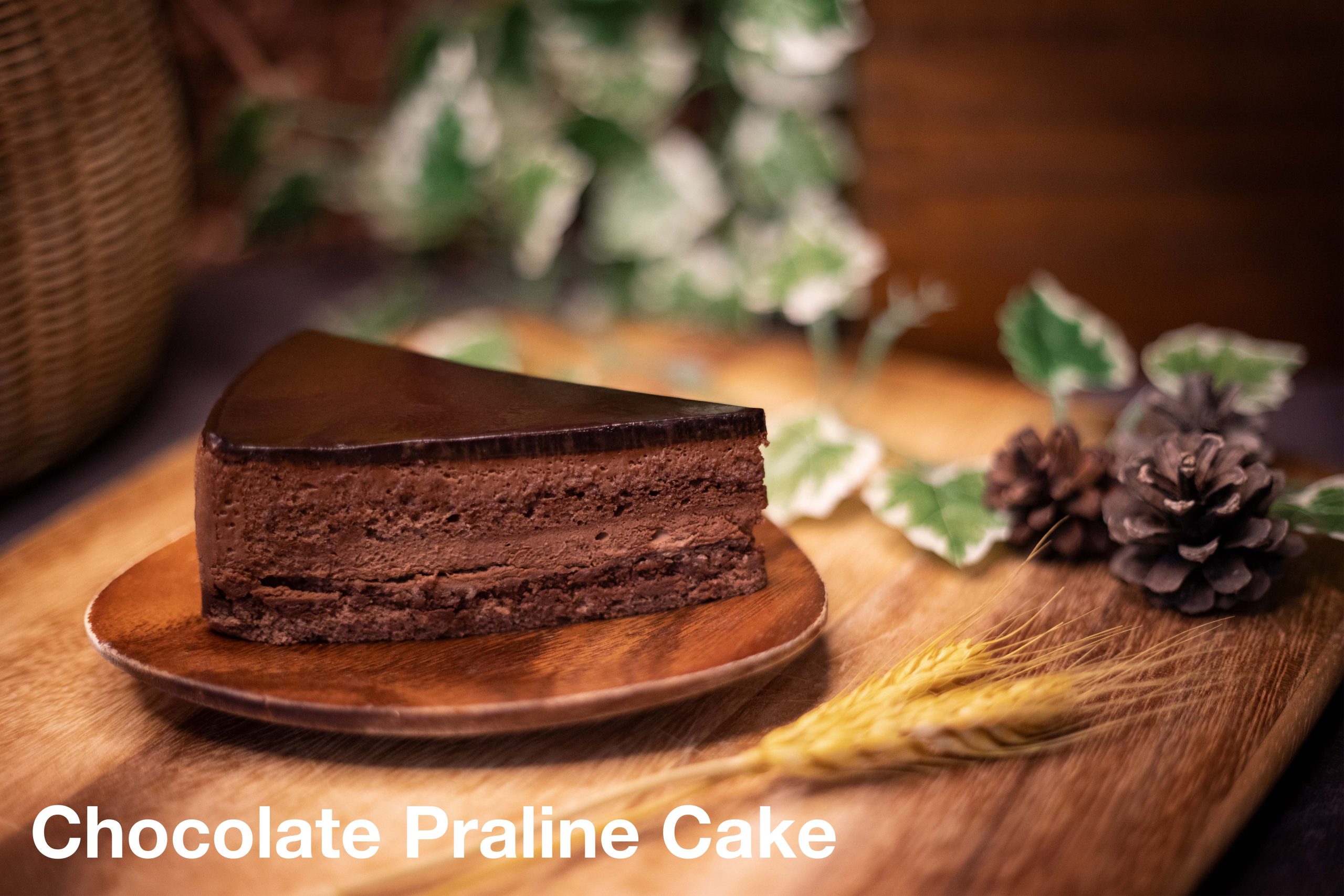 Chocolate praline cake enchanted cafe
